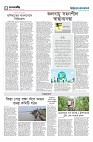 চতুর্থ পাতা